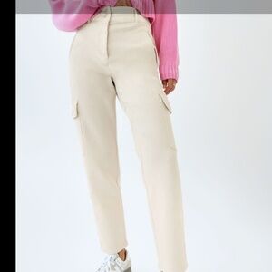 Aritzia Wilfred Free Modern Cargo Pant